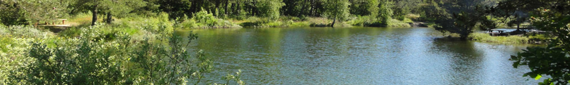 Naturreservat med en rolig sø omgivet af tæt skov